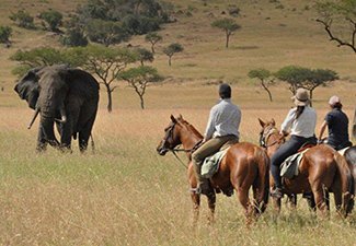 Horseback Safari in the Maasai Mara and Deloraine - Robert Mark Safaris - Luxury African Safaris Horseback Safari in the Maasai Mara and Deloraine - Robert Mark Safaris - Luxury African Safaris