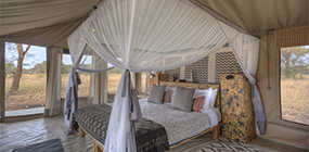 Ubuntu Migration Camp - Robert Mark Safaris - Luxury African Safaris
