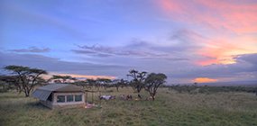 Nomadic Camp - Robert Mark Safaris - Luxury African Safaris Nomadic Camp - Robert Mark Safaris - Luxury African Safaris
