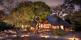 Ngala Safari Lodge - Robert Mark Safaris - Luxury African Safaris