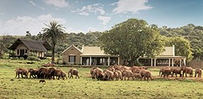 Gorah Elephant Camp - Robert Mark Safaris - Luxury African Safaris