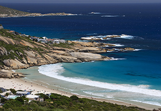 A Magical Week in Cape Town - Robert Mark Safaris - Luxury African Safaris