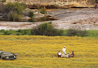 The Beautiful South - Robert Mark Safaris - Luxury African Safaris