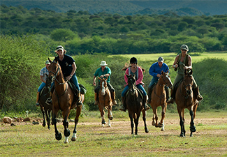 Follow Your Heart Through The Delta - Robert Mark Safaris - Luxury African Safaris
