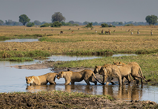 A Private Retreat: Mana Pools & The Okavango Delta - Robert Mark Safaris - Luxury African Safaris