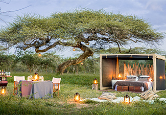 Walking The Serengeti Plains - Robert Mark Safaris - Luxury African Safaris