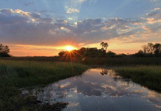 A Summer Sunshine Cape Town & Botswana Safari - Robert Mark Safaris - Luxury African Safaris