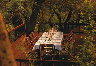 Feeding the Soul: A Bespoke Gourmet Safari - Robert Mark Safaris - Luxury African Safaris