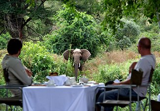 The Best of Cape Town and Singita - Robert Mark Safaris - Luxury African Safaris