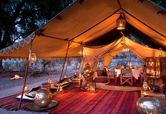Wild and Diverse: In Touch with Nature - Robert Mark Safaris - Luxury African Safaris