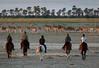 An Exciting Horseback Safari Through The Kalahari  - Robert Mark Safaris - Luxury African Safaris