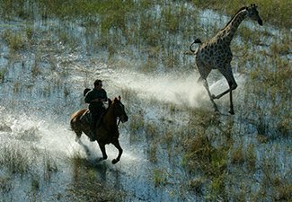 A Riding Safari in the Okavango Delta - Robert Mark Safaris - Luxury African Safaris