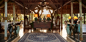 Malewane Lodge - Robert Mark Safaris - Luxury African Safaris