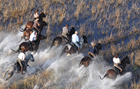 Horseback Safaris