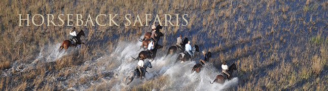 Horseback Safaris - Robert Mark Safaris - Luxury African Safaris
