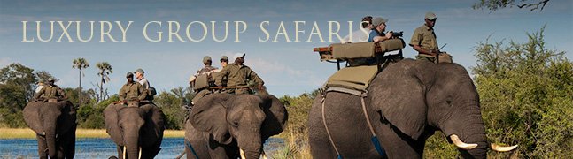 Luxury Group Safaris - Robert Mark Safaris - Luxury African Safaris