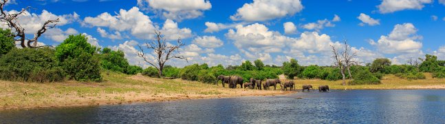 Chobe National Park - Robert Mark Safaris - Luxury African Safaris