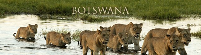 BOTSWANA - Robert Mark Safaris - Luxury African Safaris