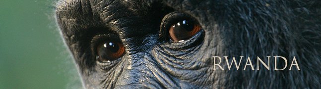 RWANDA - Robert Mark Safaris - Luxury African Safaris