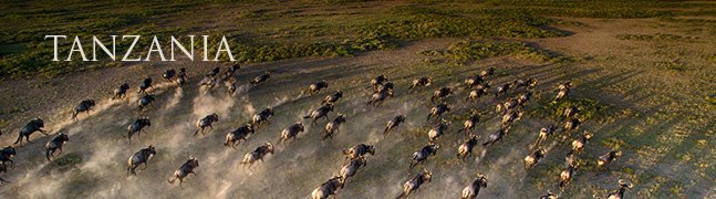 TANZANIA - Robert Mark Safaris - Luxury African Safaris