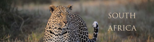 SOUTH AFRICA - Robert Mark Safaris - Luxury African Safaris
