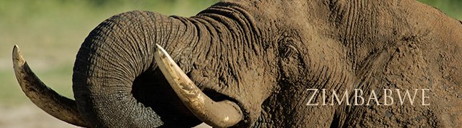 ZIMBABWE - Robert Mark Safaris - Luxury African Safaris