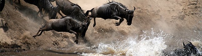 The Maasai Mara - Robert Mark Safaris - Luxury African Safaris