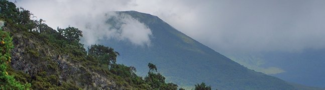 Mgahinga Gorilla National Park - Robert Mark Safaris - Luxury African Safaris