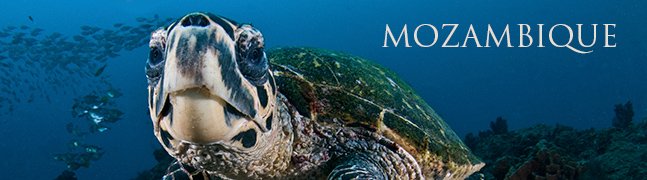 MOZAMBIQUE - Robert Mark Safaris - Luxury African Safaris
