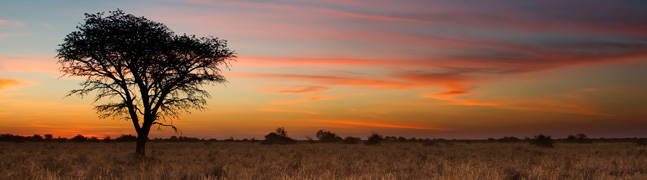 The Kalahari - Robert Mark Safaris - Luxury African Safaris