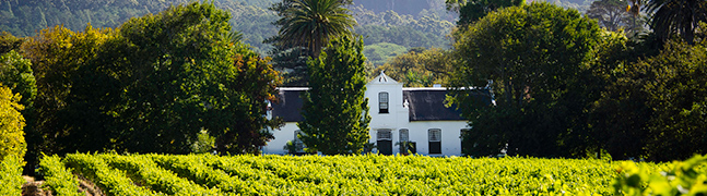 Western Cape & the winelands - Robert Mark Safaris - Luxury African Safaris